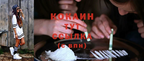 не бодяженный Ладушкин