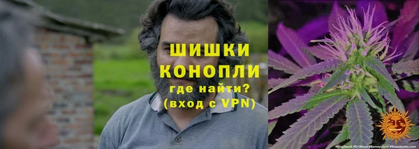 Альфа ПВП Лабытнанги
