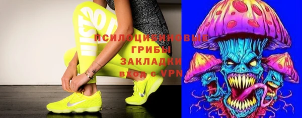 гидра Лагань